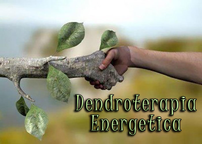Dendroterapia - La cura degli alberi